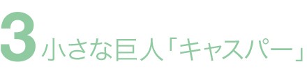 小さな巨人「キャスパー」